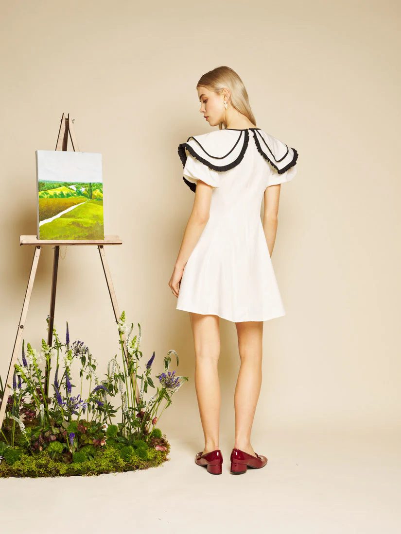 Daffodil Collar Mini Dress - Image 3
