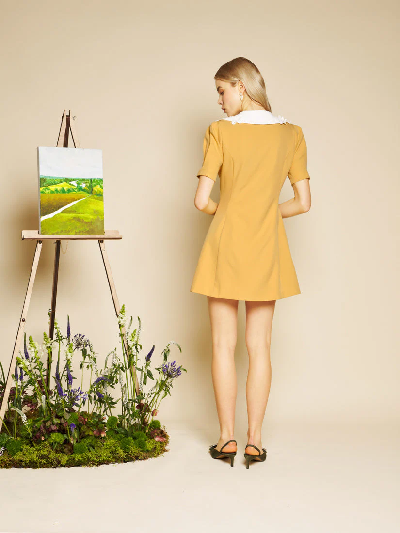Jewel Canvas Mini Dress - Image 3