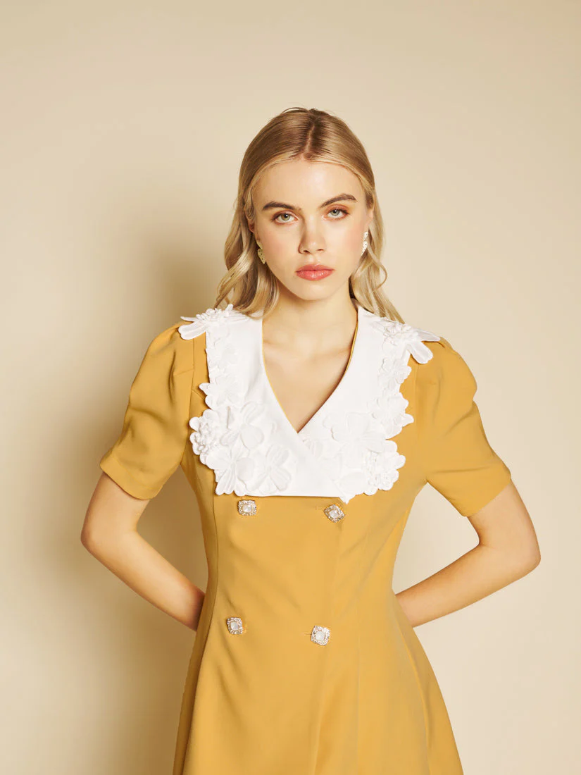Jewel Canvas Mini Dress - Image 5