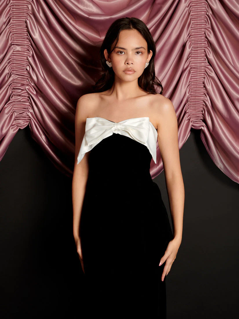 Kelly Velvet Maxi Dress - Image 5