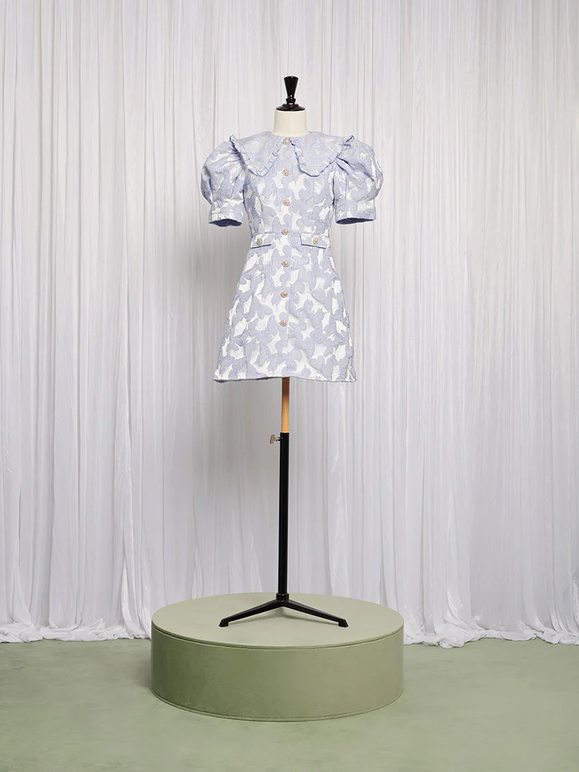 Lacewing Mini Dress - Image 4