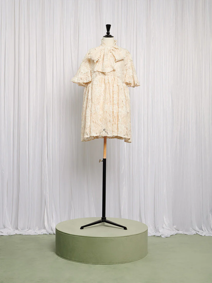 Romance Lace Mini Dress - Image 4