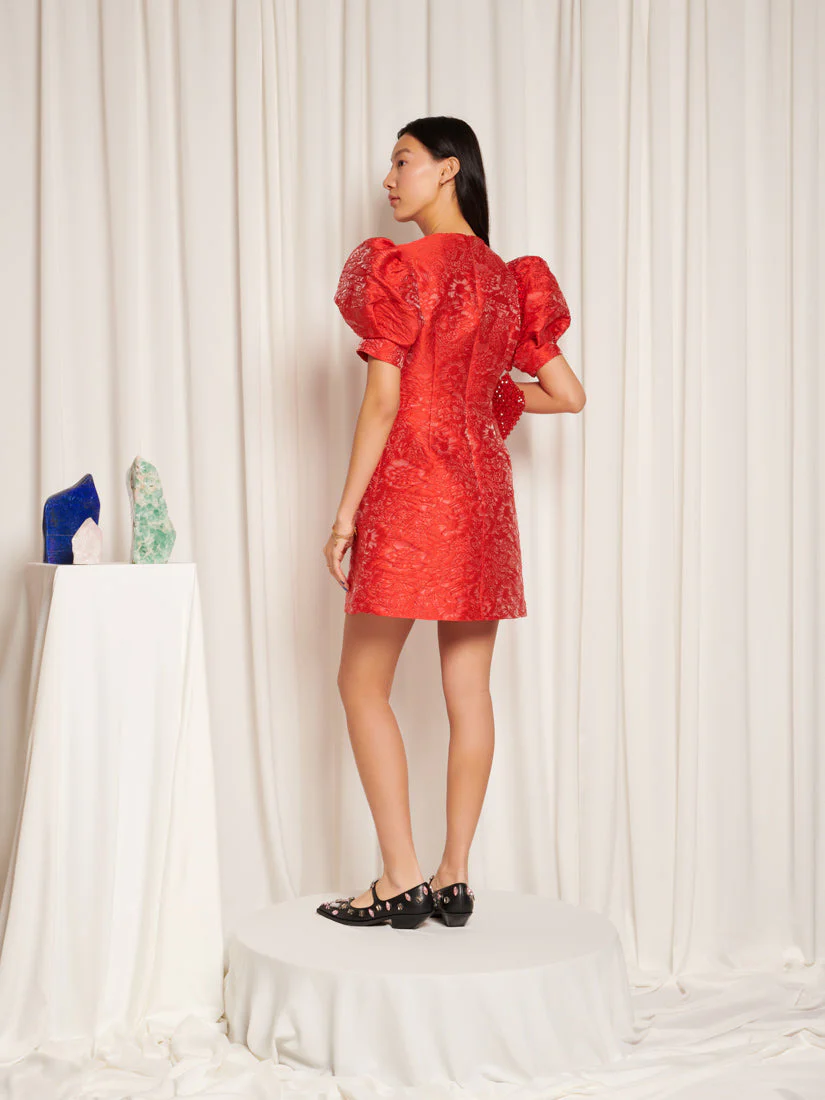 Ruby Mini Dress - Image 4