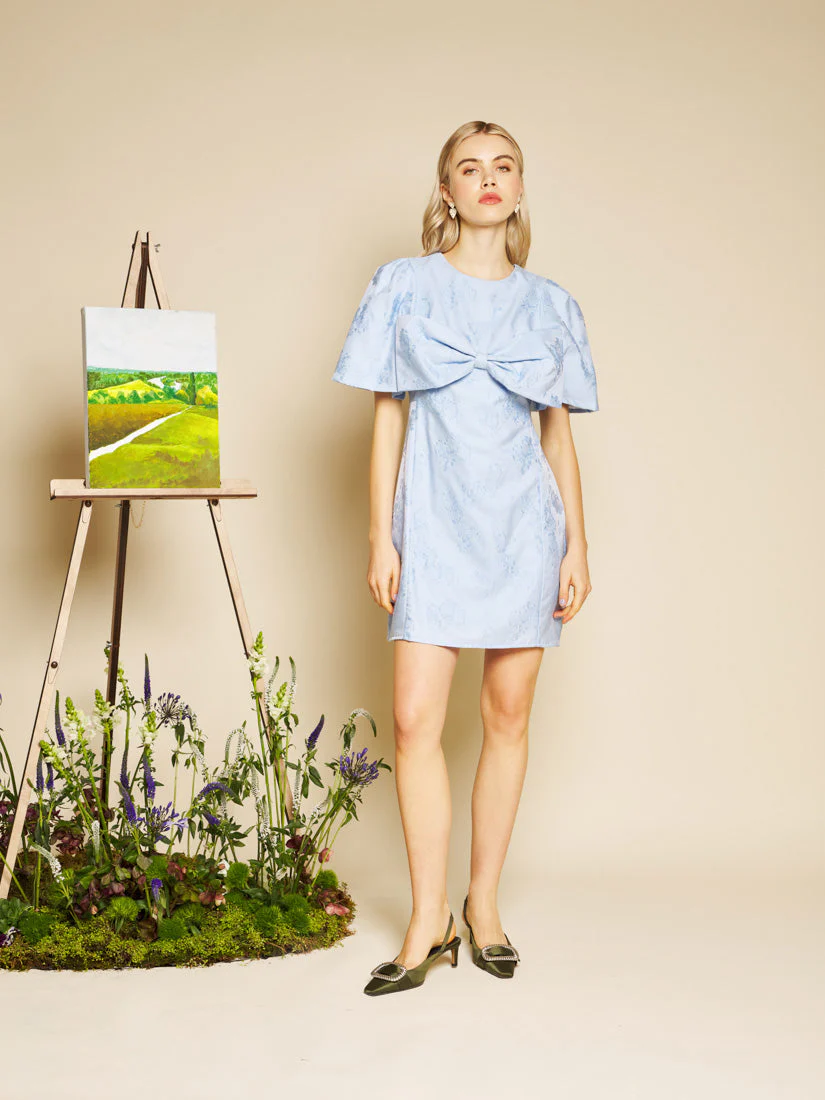 Sweet Pea Jacquard Mini Dress - Image 4