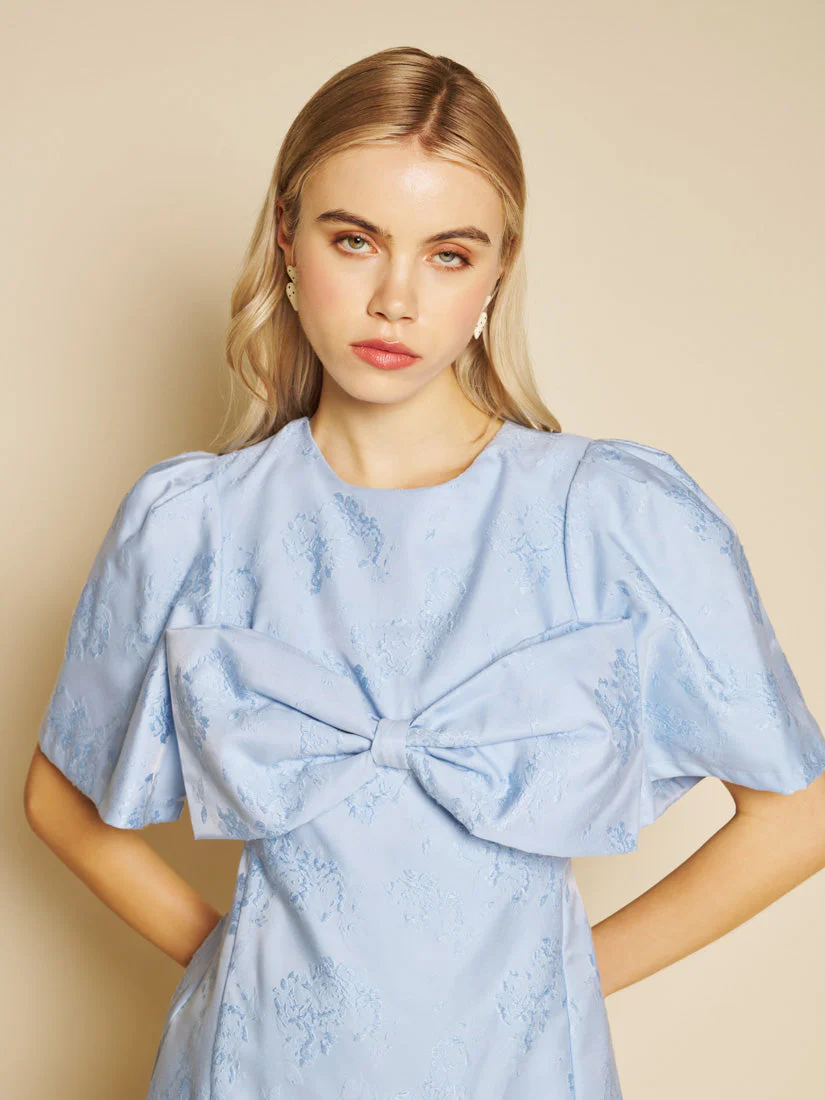 Sweet Pea Jacquard Mini Dress - Image 5