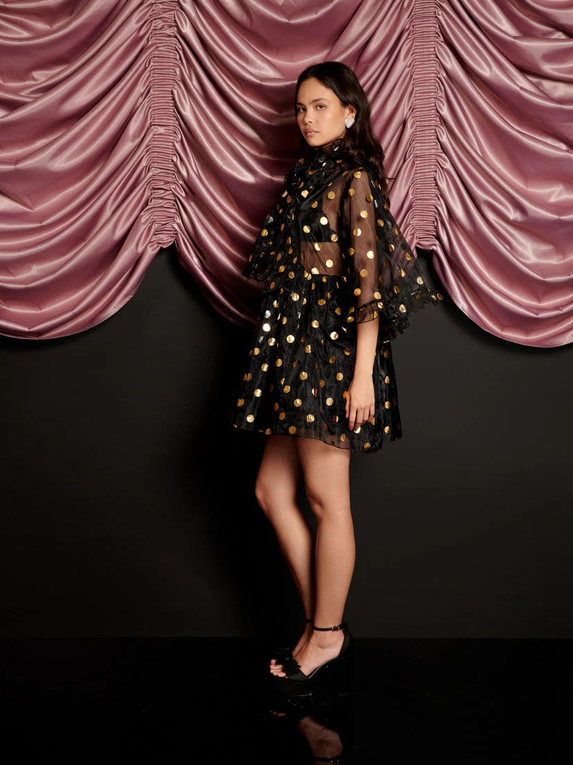 Swing Spot Organza Mini Dress - Image 2