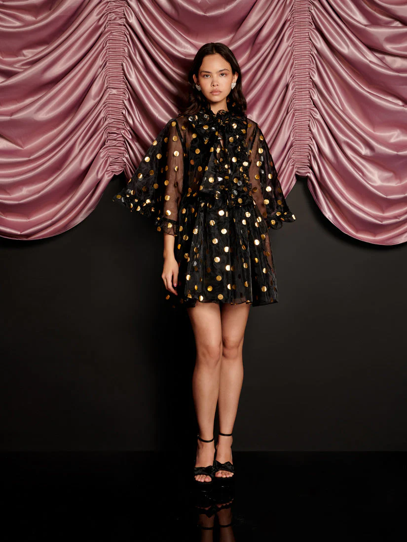 Swing Spot Organza Mini Dress - Image 4